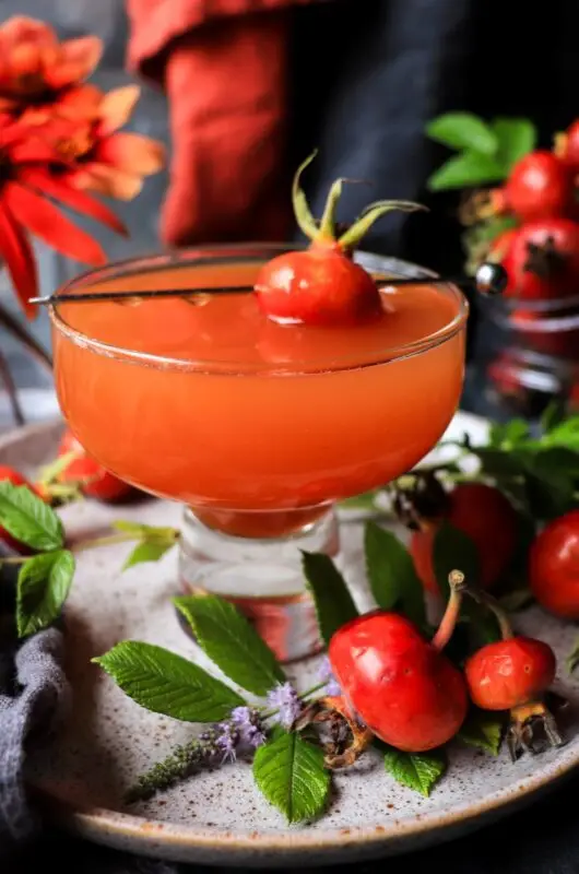 Orange Rosehip Rum Cocktail
