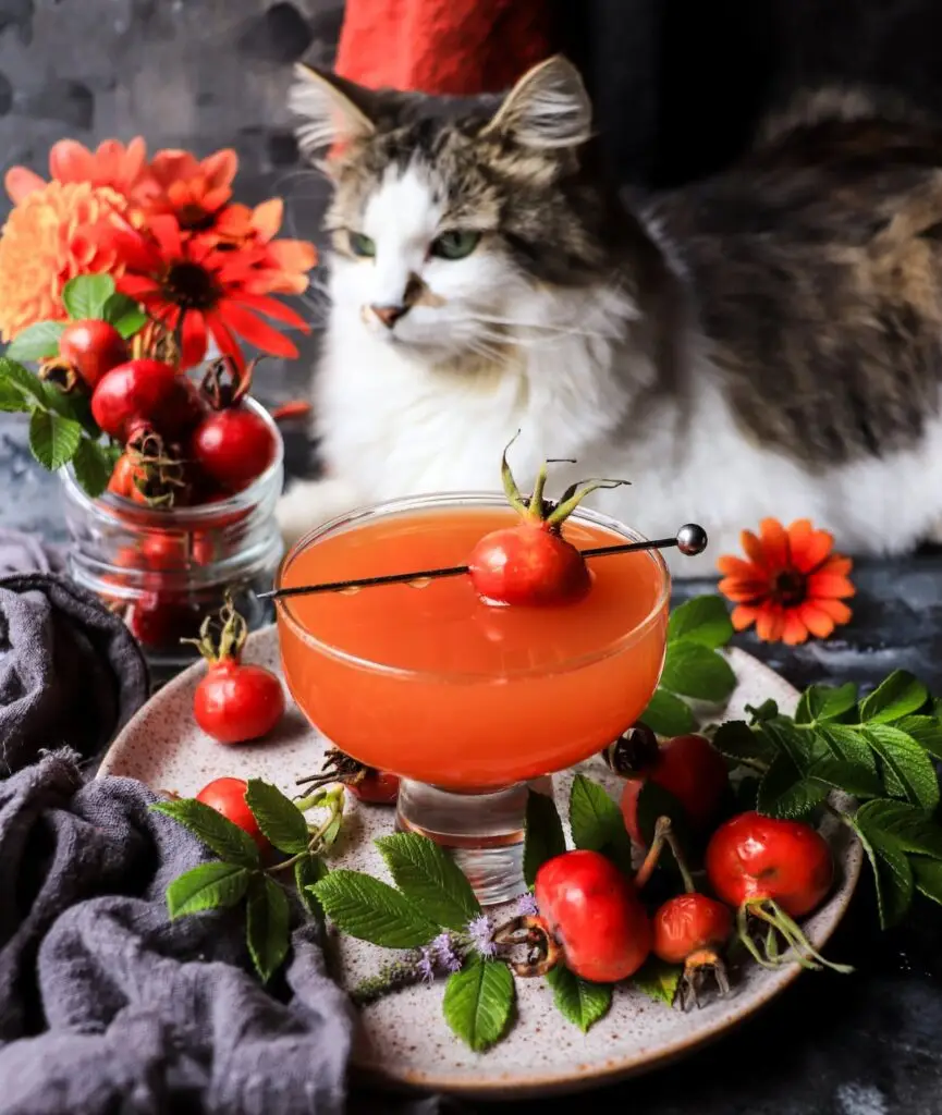 Orange Rosehip Rum Cocktail