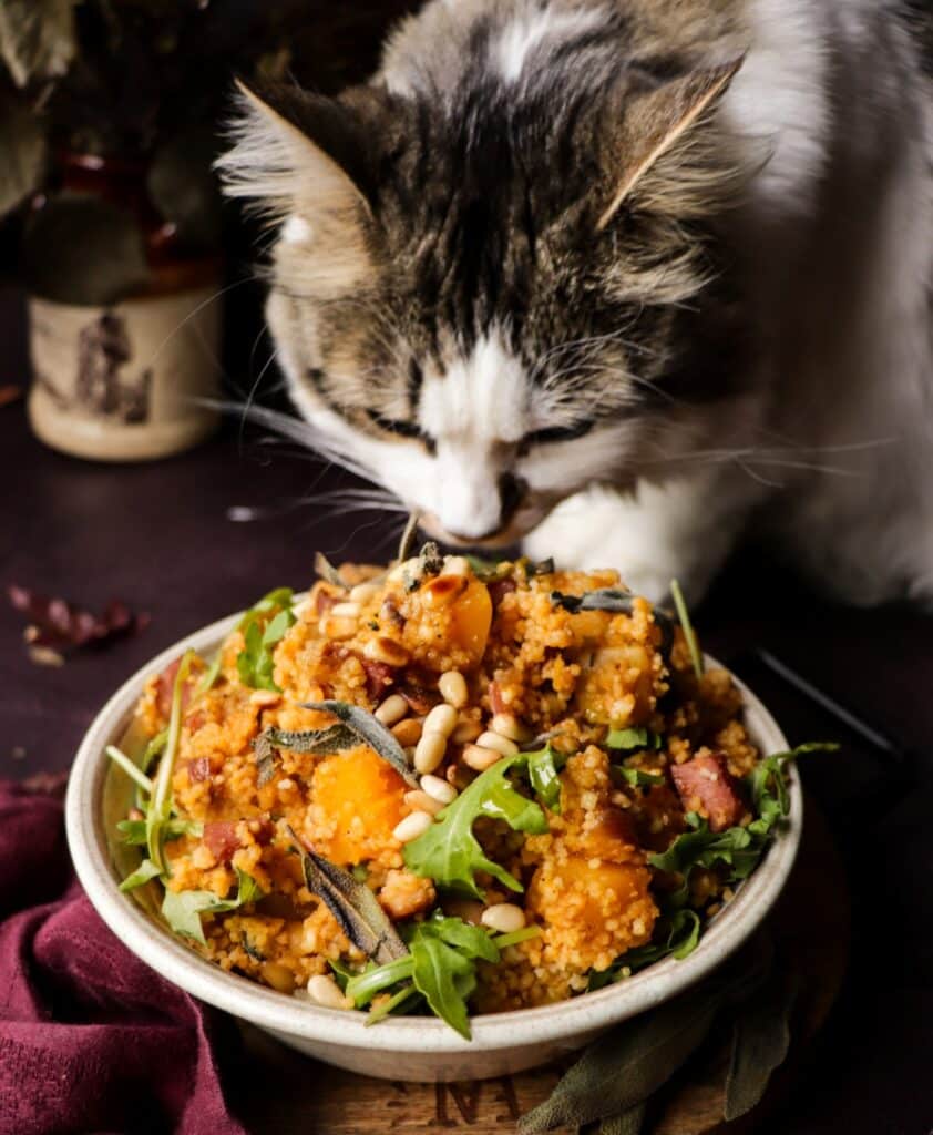 Roasted Butternut Squash Couscous Salad with Ham, Pine Nuts and Sage