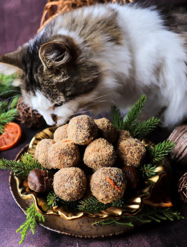 Fluffy cat sniffing a plate of date chestnut bliss balls arranged on a gold dish with evergreens and chestnuts.