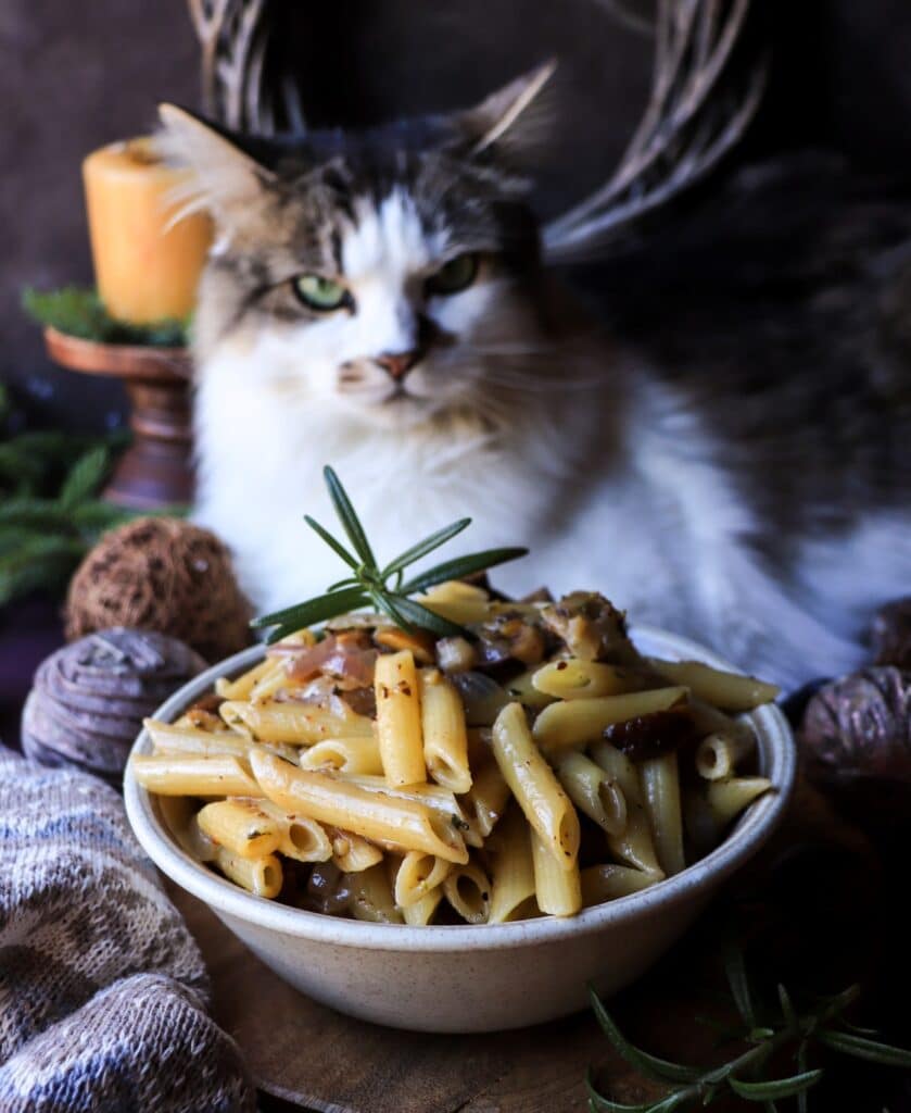 Caramelized onion and chestnut pasta with rosemary on a festive table, with Daisy the cat watching closely in the background.