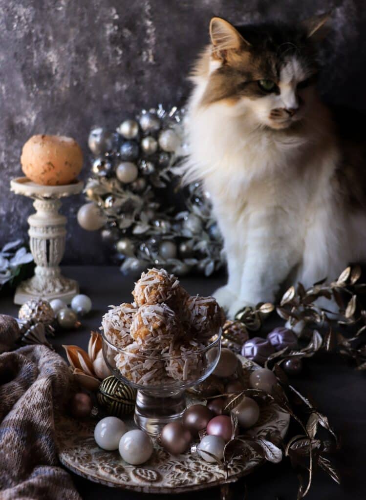 A bowl of coconut-coated coconut cashew rum cookie truffles in the foreground with Daisy the cat sitting behind them, surrounded by festive winter decorations.