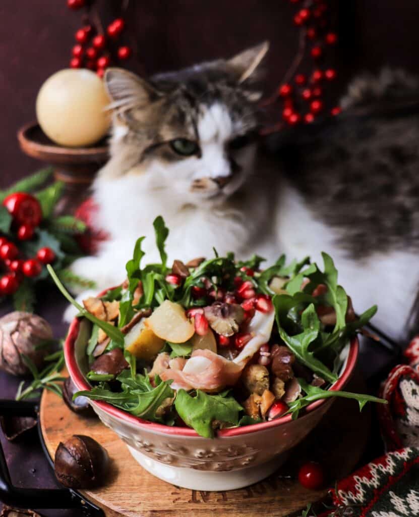 estive pear chestnut prosciutto salad with lightly sautéed pears, crumbled chestnuts, pomegranate arils, and arugula in a red-rimmed bowl, with Daisy the cat in the background and subtle holiday decor.