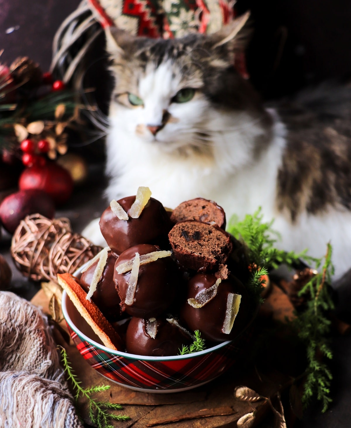 Festive chocolate gingerbread cookies with orange and rum on a holiday table as Daisy the cat curiously leans in beside the freshly glazed cookies.