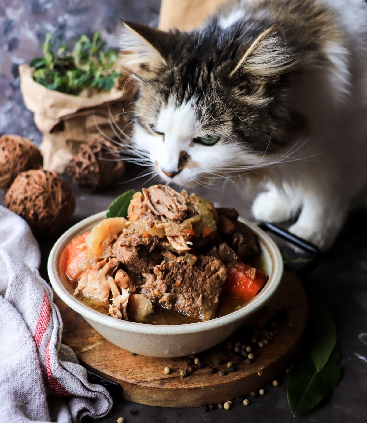 Karjalanpaisti (Karelian hot pot), a traditional Finnish beef and pork stew, with Daisy the cat in the background, sniffing the pot.