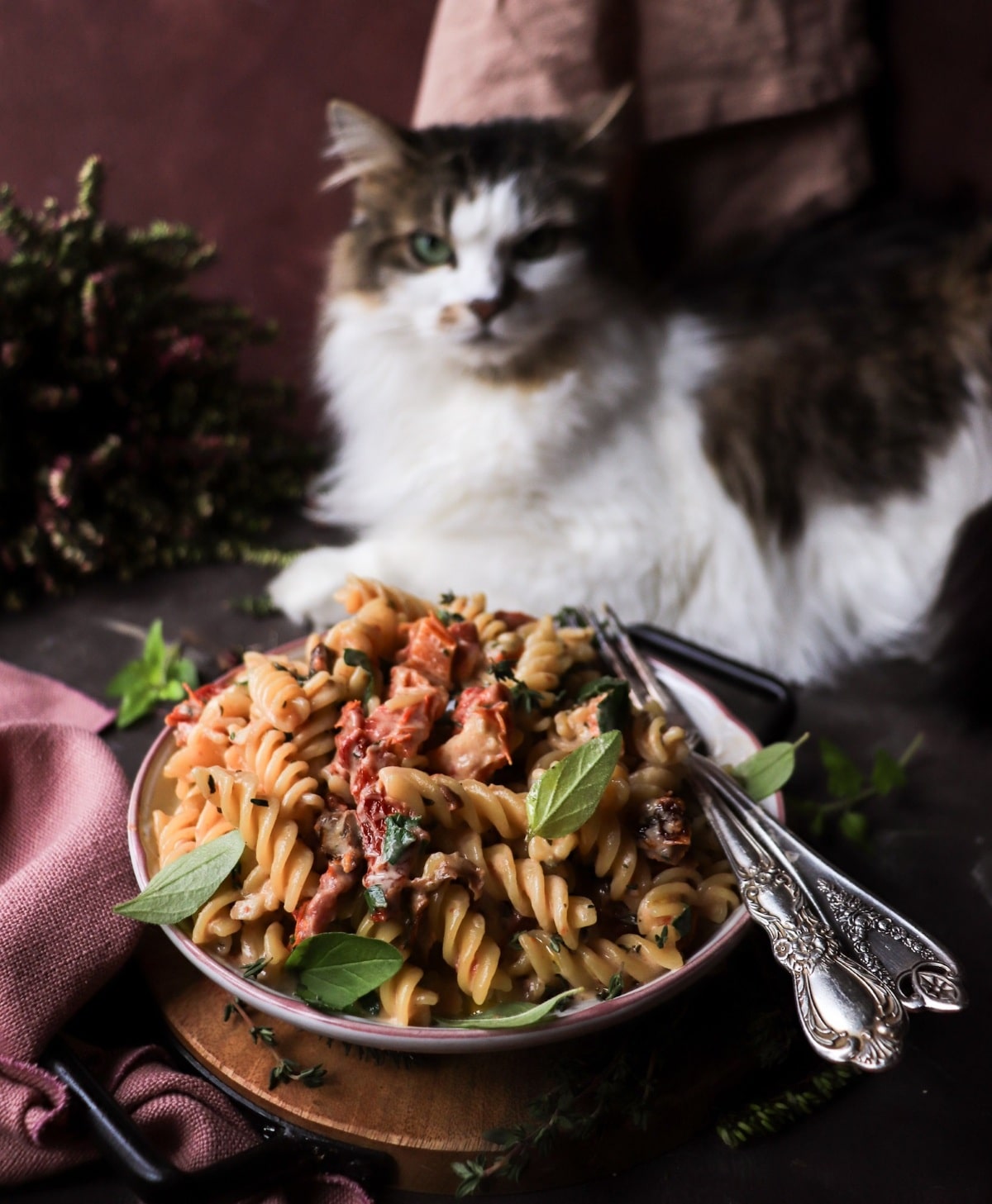 Creamy Marry Me Pasta with sun-dried tomatoes and herbs, served in a bowl with Daisy the cat watching closely in the background.