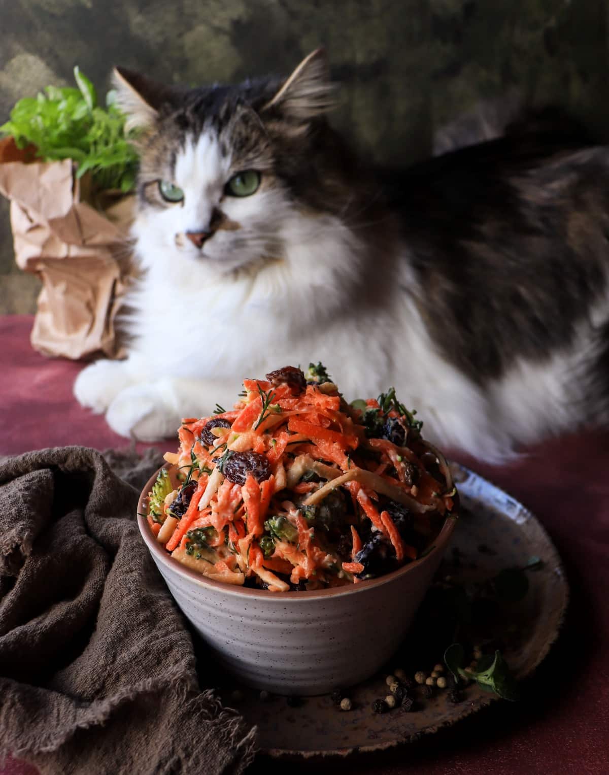 Raw broccoli, carrot, and parsnip salad with dried cranberries and raisins in a ceramic bowl, styled on a rustic plate with herbs and peppercorns, with Daisy the cat relaxing in the background.