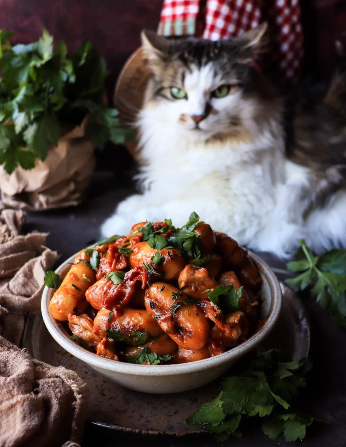 Skillet gnocchi with Marry Me chicken sauce on a rustic plate, with Daisy the cat in the background and fresh herbs scattered around.