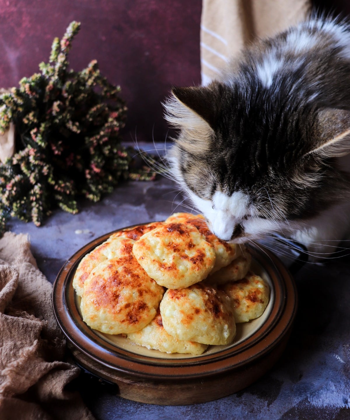 Freshly baked cottage cheese biscuits stacked on a plate with a curious cat leaning in, highlighting their golden crust.