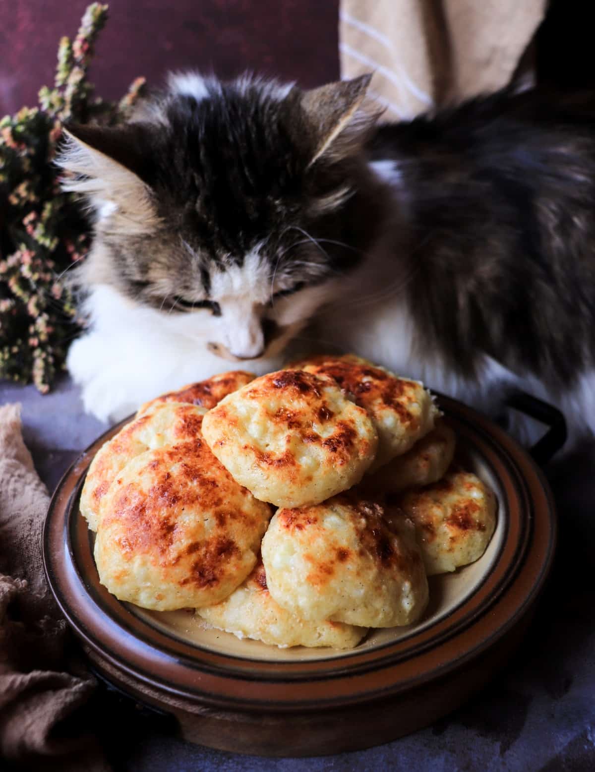 Freshly baked cottage cheese biscuits stacked on a plate with a curious cat leaning in, highlighting their golden crust.