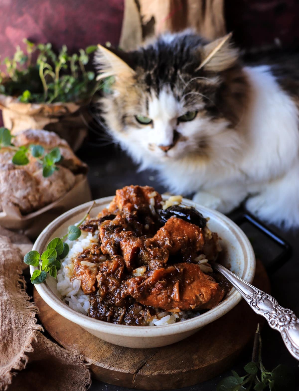 Spanish-Style Pork with Prunes in a rustic bowl while Daisy the cat curiously inspects the dish.