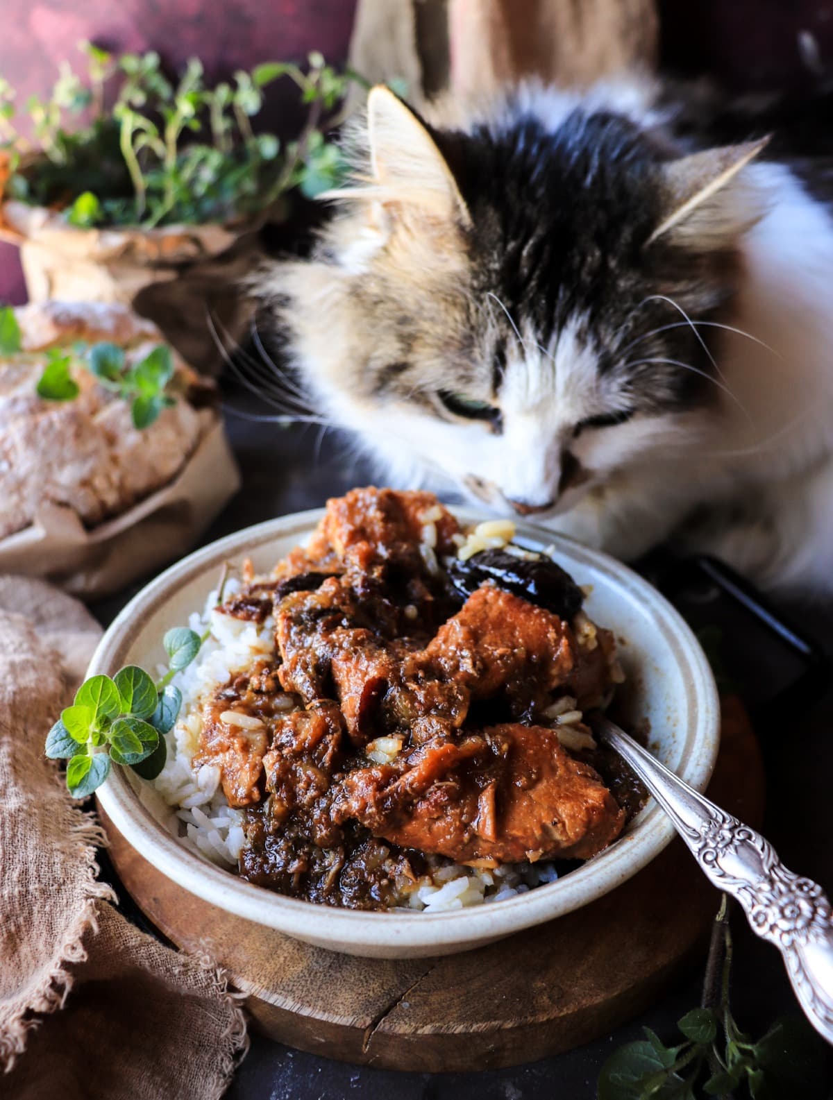 Spanish-Style Pork with Prunes in a rustic bowl while Daisy the cat curiously inspects the dish.