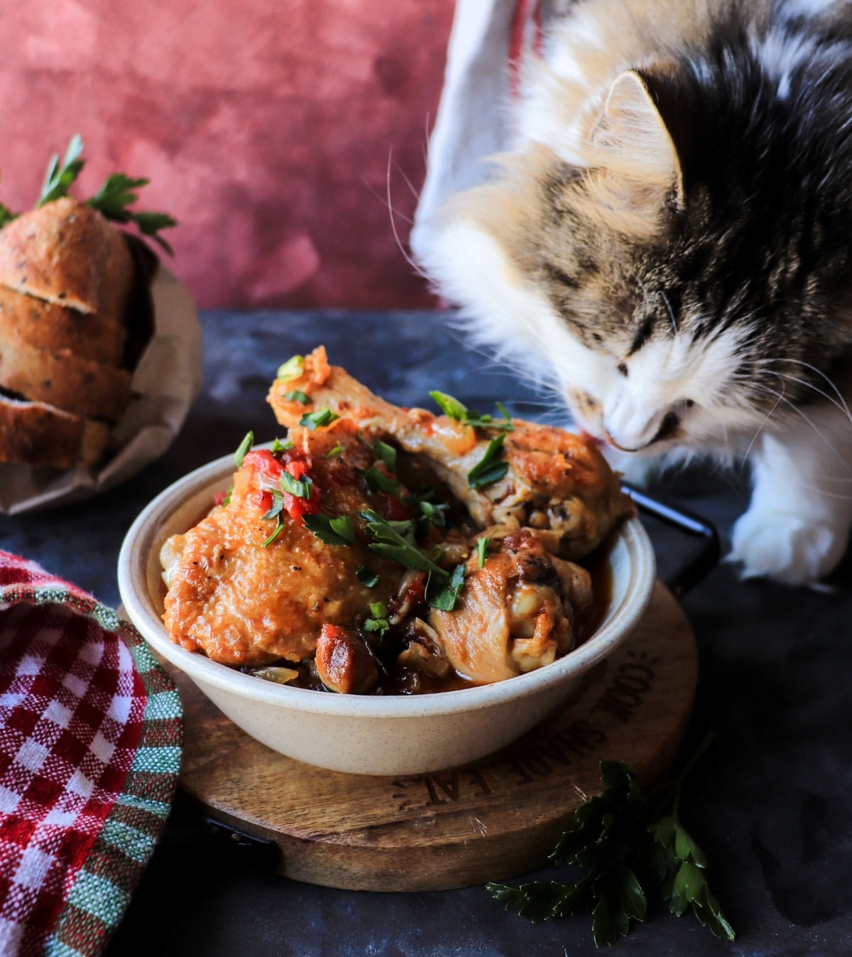 Daisy the cat curiously sniffing a bowl of Traditional Chicken Cacciatore with braised chicken and tomato sauce.