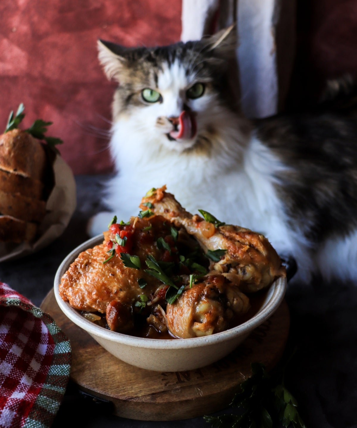 Daisy the cat with tongue out beside a bowl of Traditional Chicken Cacciatore in a ceramic dish with parsley garnish.