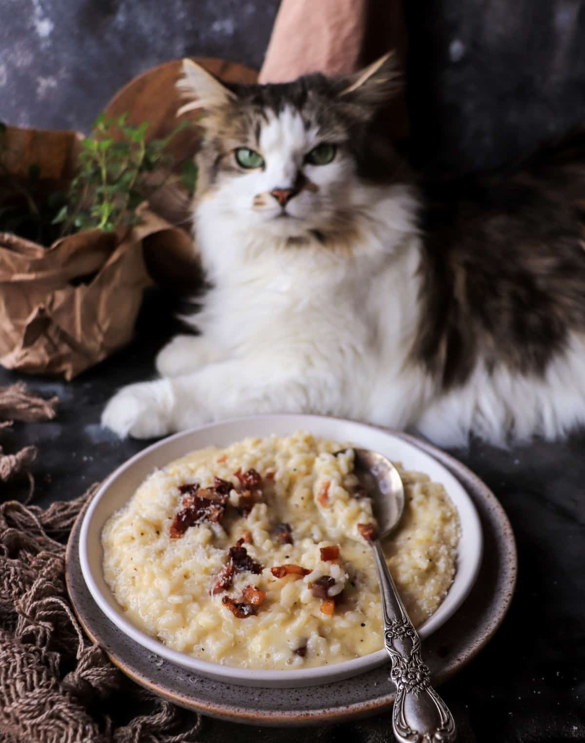 Risotto carbonara served on a rustic plate with Daisy the cat sitting beside the dish.