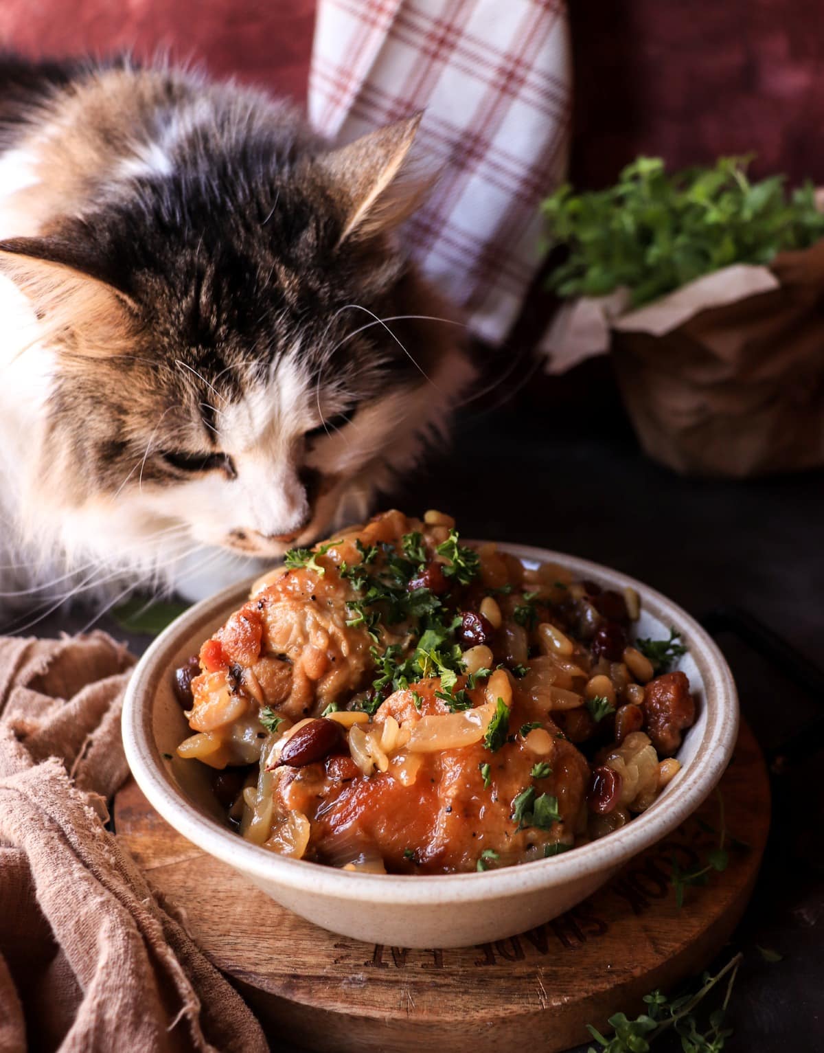Sicilian sweet and sour chicken with raisins and pine nuts in a rustic bowl, Daisy the cat curiously sniffing beside it.