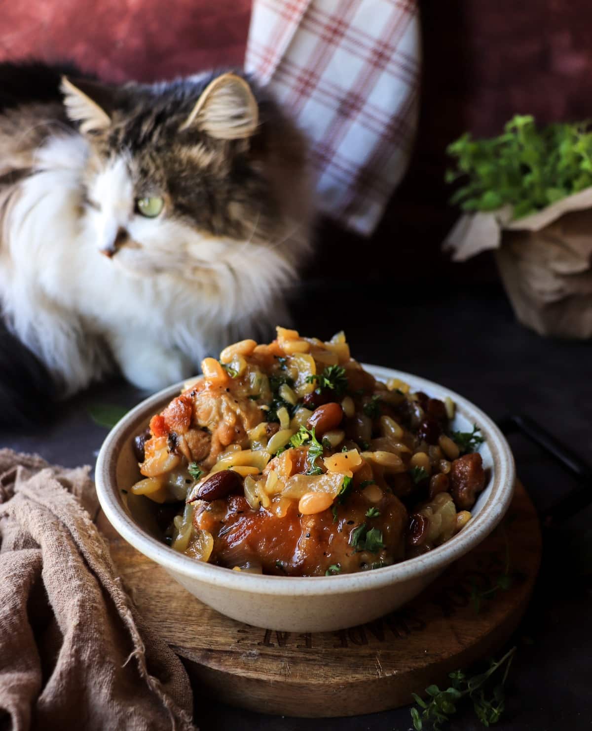 Sicilian sweet and sour chicken with raisins and pine nuts in a rustic bowl, Daisy the cat curiously sniffing beside it.