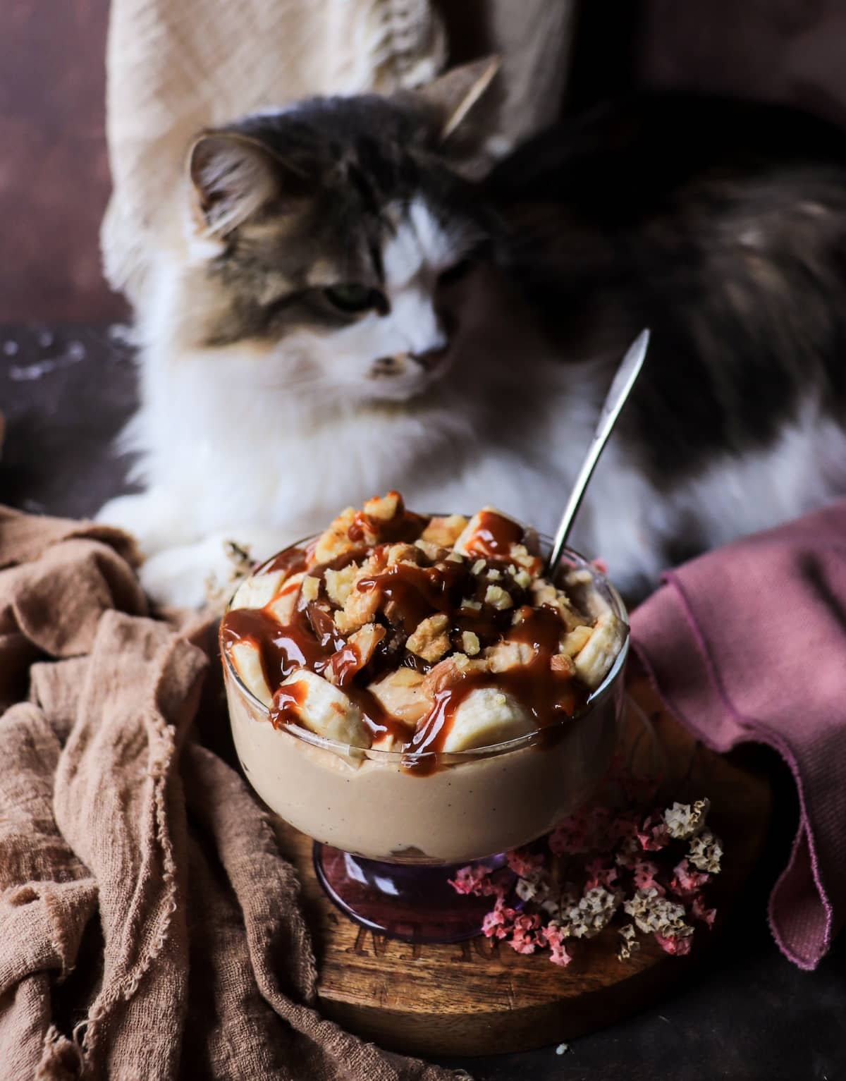 homemade cottage cheese dessert with dulce de leche and cat nearby