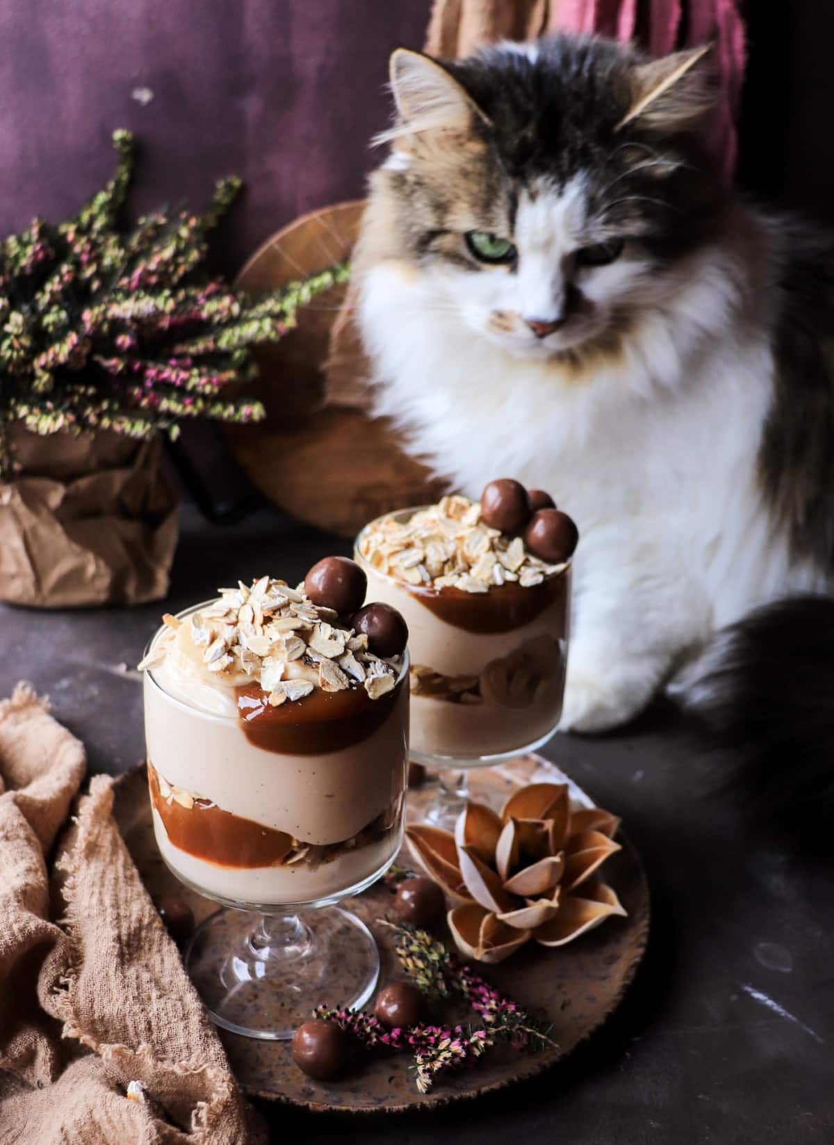 dulce de leche yogurt parfait with banana and oats served in glasses with cozy styling and a cat in the background