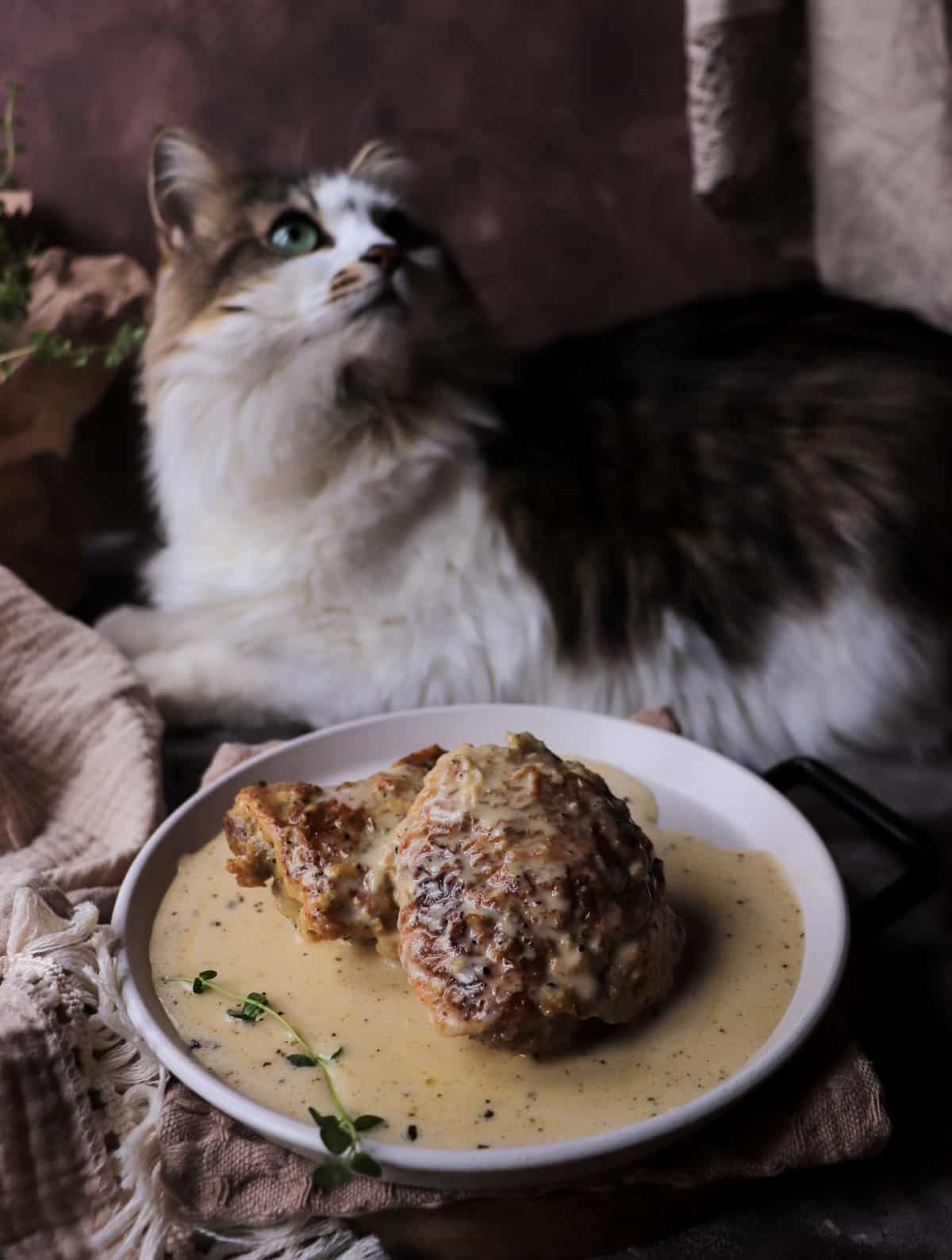 Pollo al Latte (chicken in milk) served in a rustic bowl with creamy sauce and a curious cat in the background.