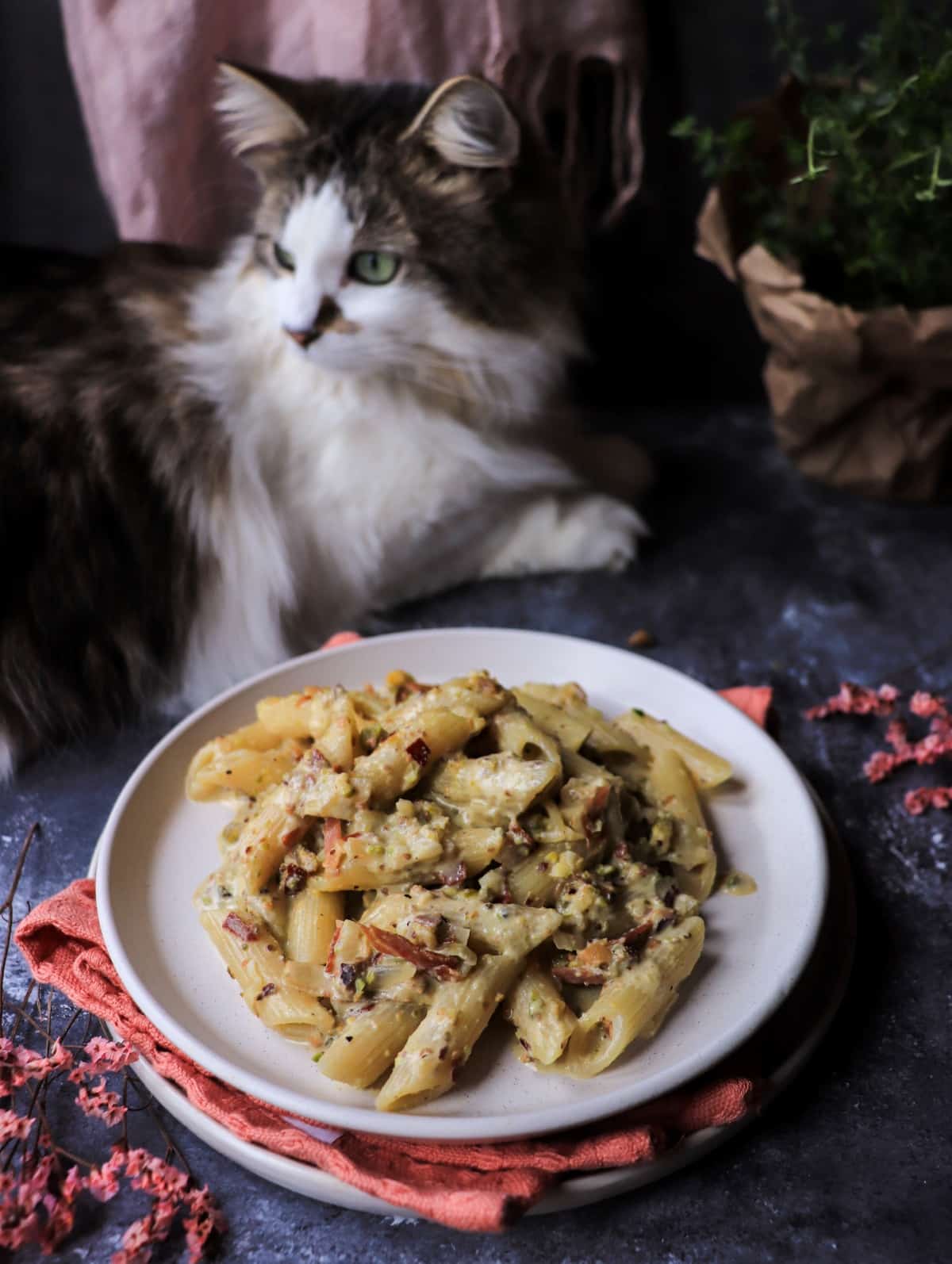 cat next to pistachio pasta