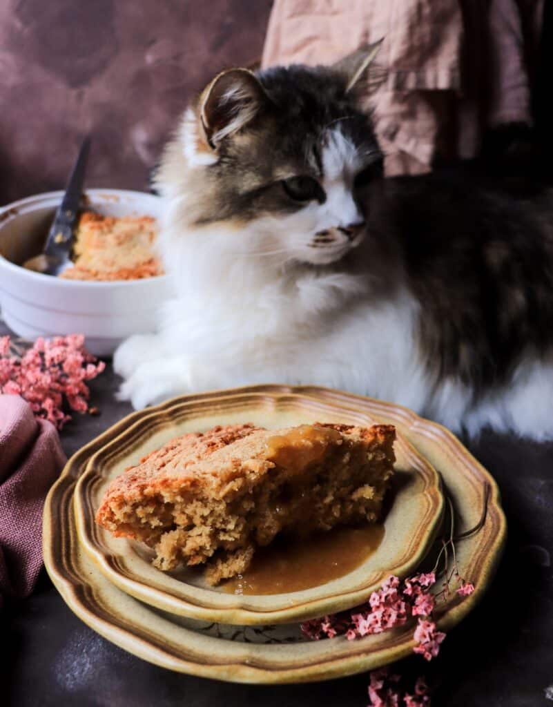 Pouding Chômeur (Quebec Maple Syrup Pudding Cake)