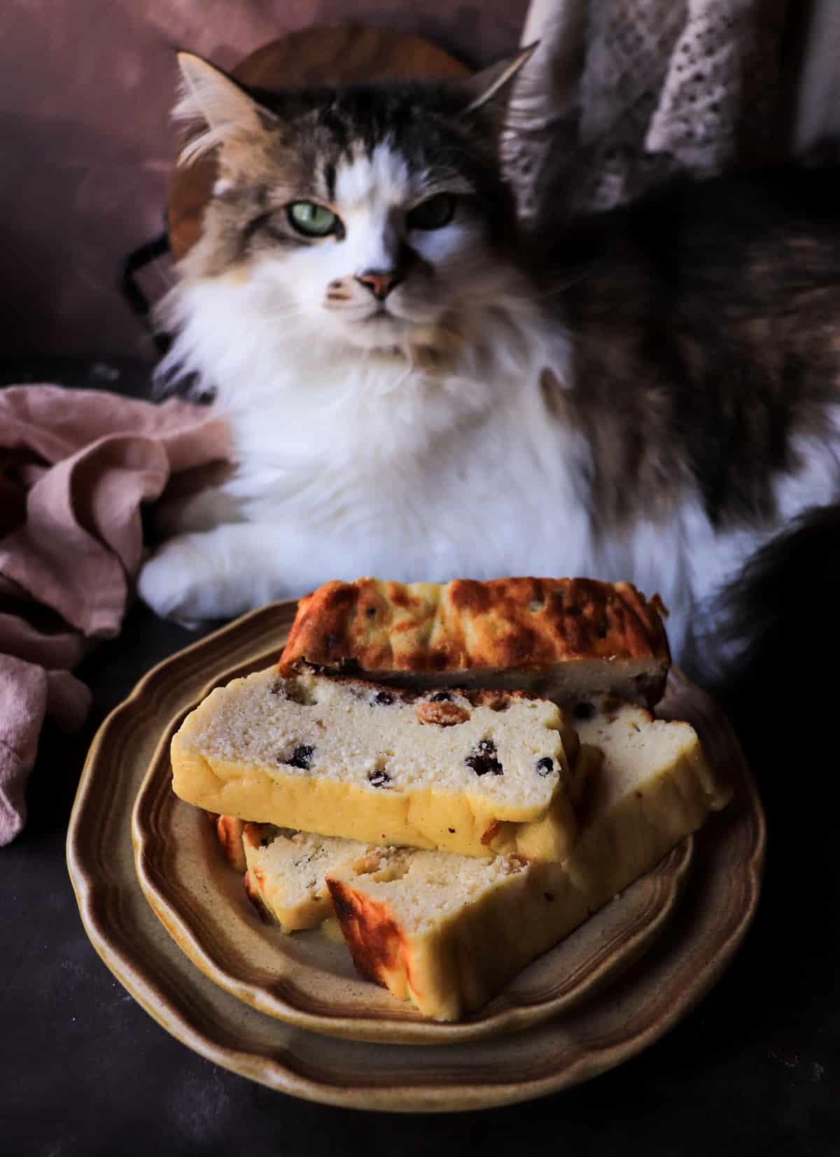 Sweet Cottage Cheese Bake Casserole (European Cheesecake-Style Dessert)