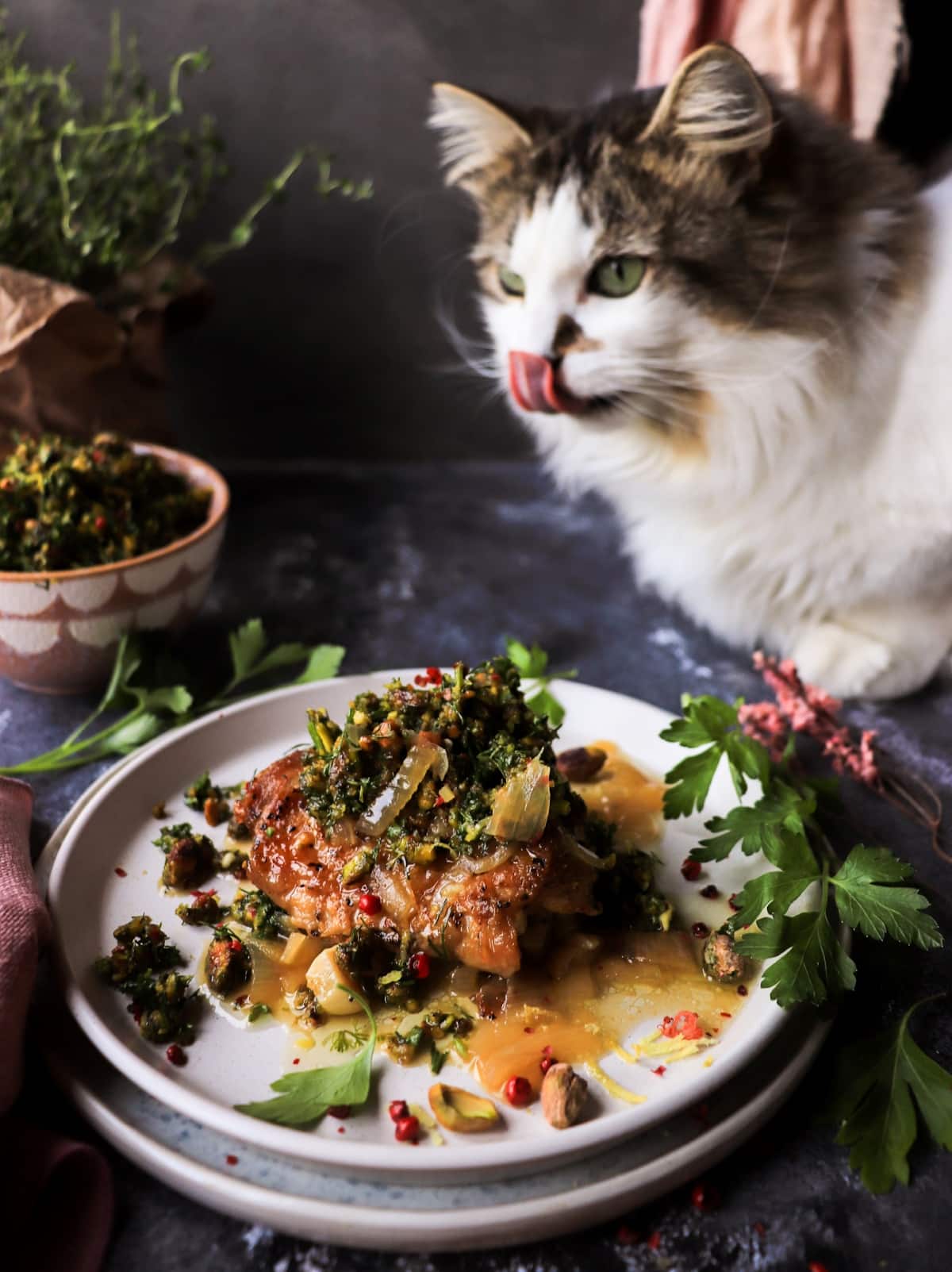 Cat beside white wine chicken thighs with pistachio gremolata