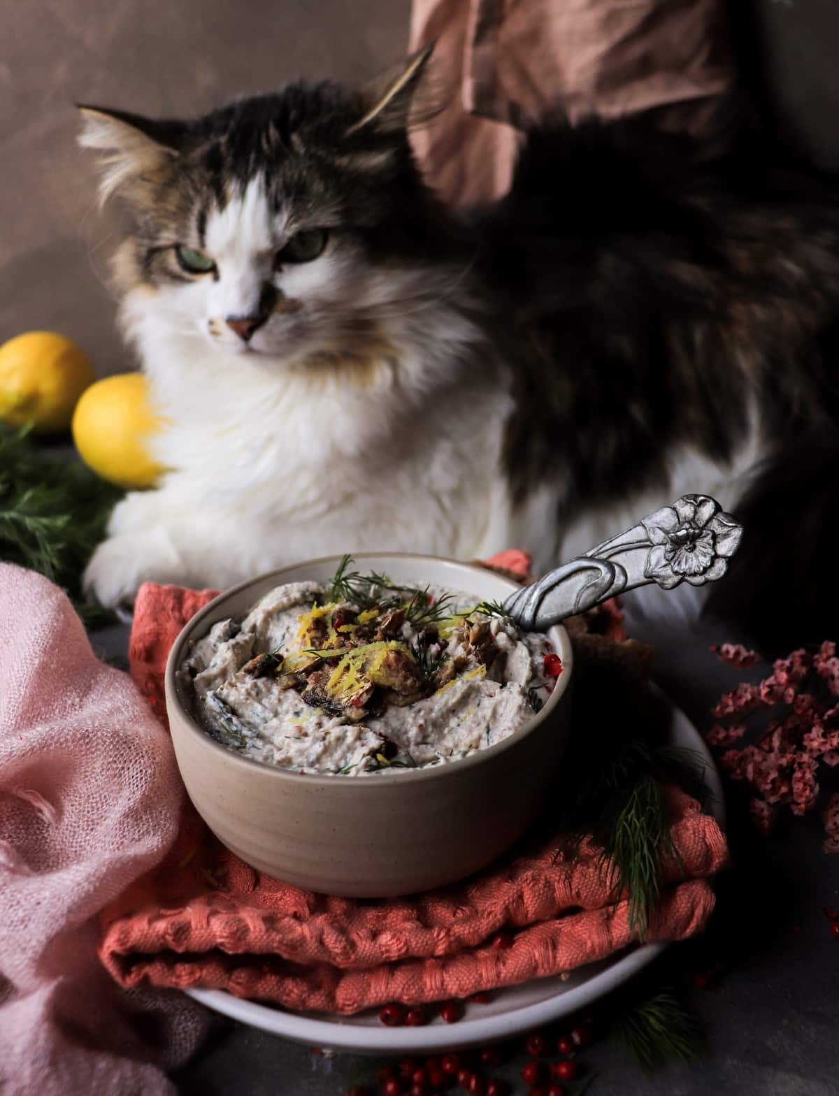 Baltic-inspired smoked fish spread styled with rye bread and a cat.