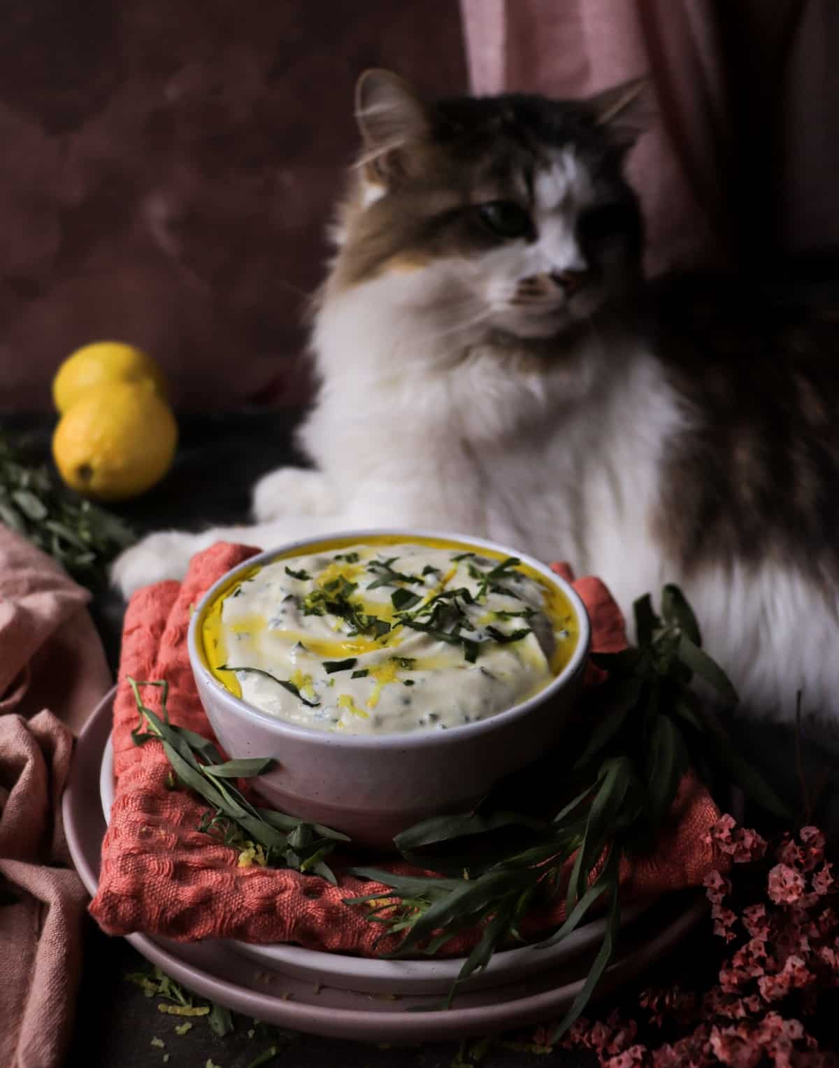 Creamy Tarragon Dijon Sauce