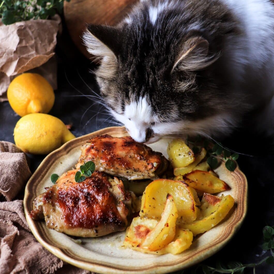 Greek Lemon Oregano Chicken (Kotopoulo Lemony)