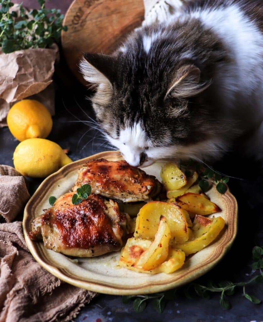 Greek Lemon Oregano Chicken (Kotopoulo Lemony)