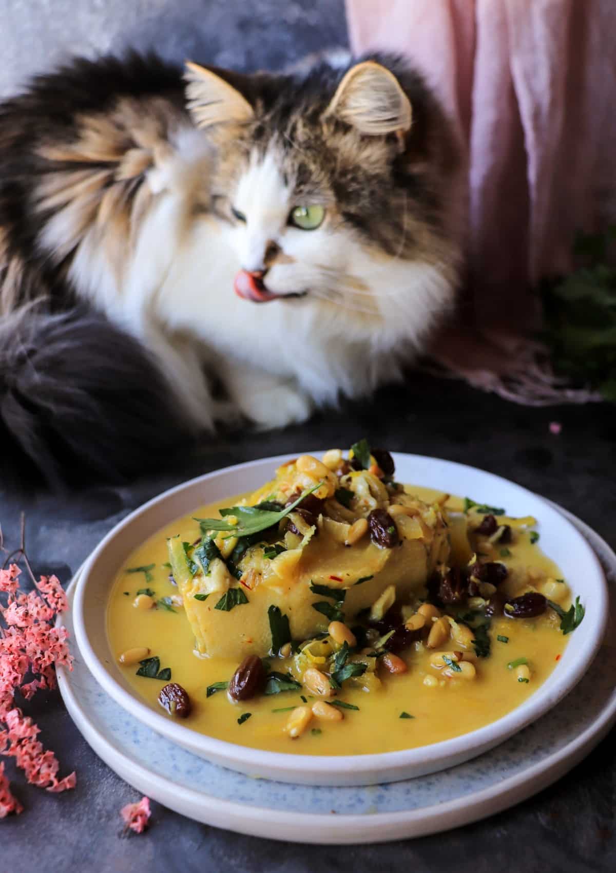 Sicilian-inspired halibut dish with saffron and pine nuts and a cat nearby