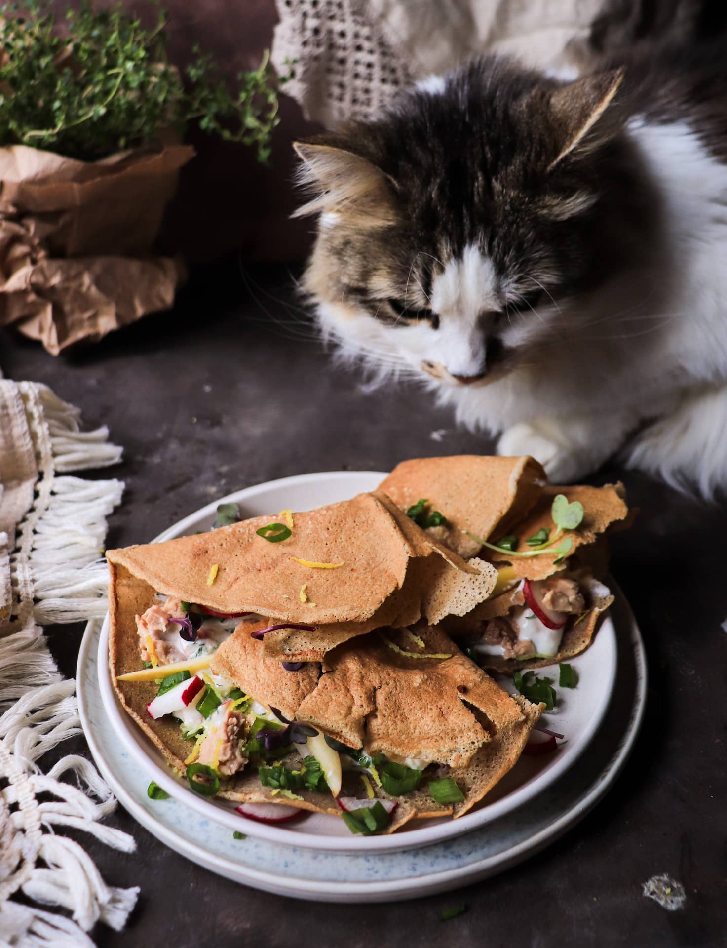 Rustic Scandinavian-inspired cod liver crêpes with Havoc in the Kitchen mascot Daisy