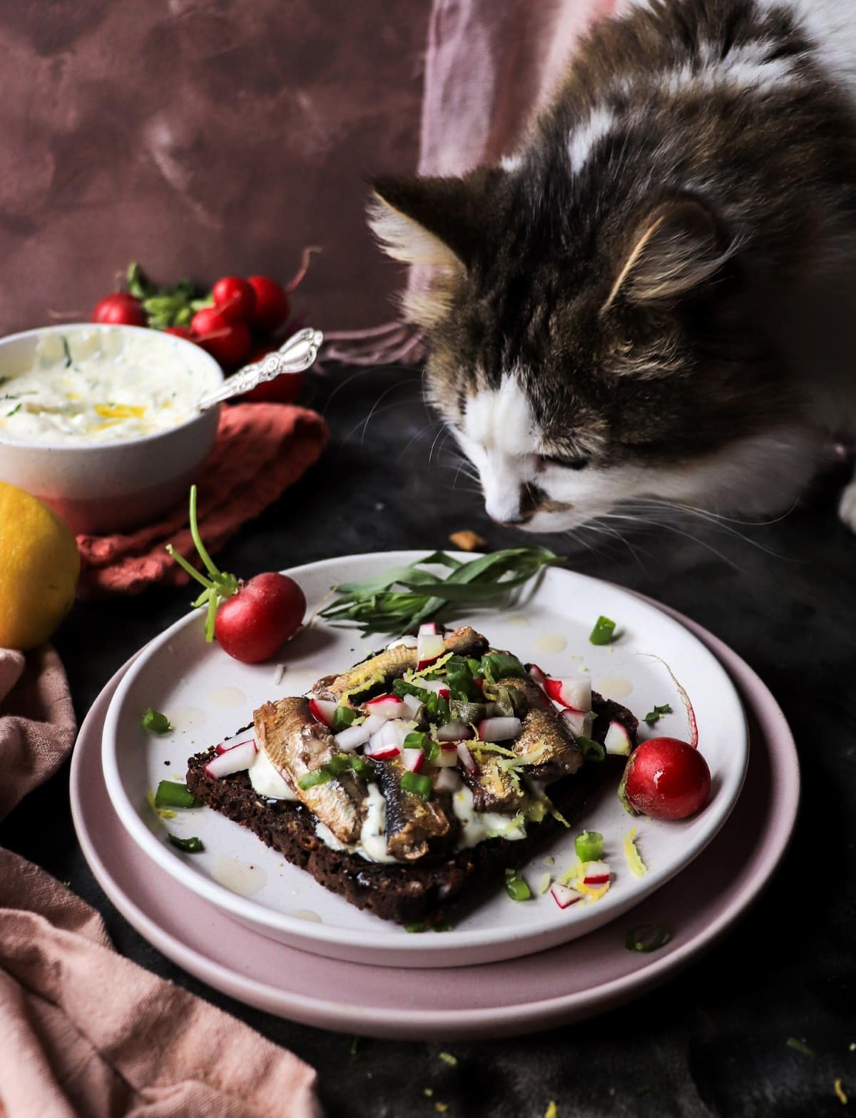 rye toast with sprats and tarragon sauce with cat in background