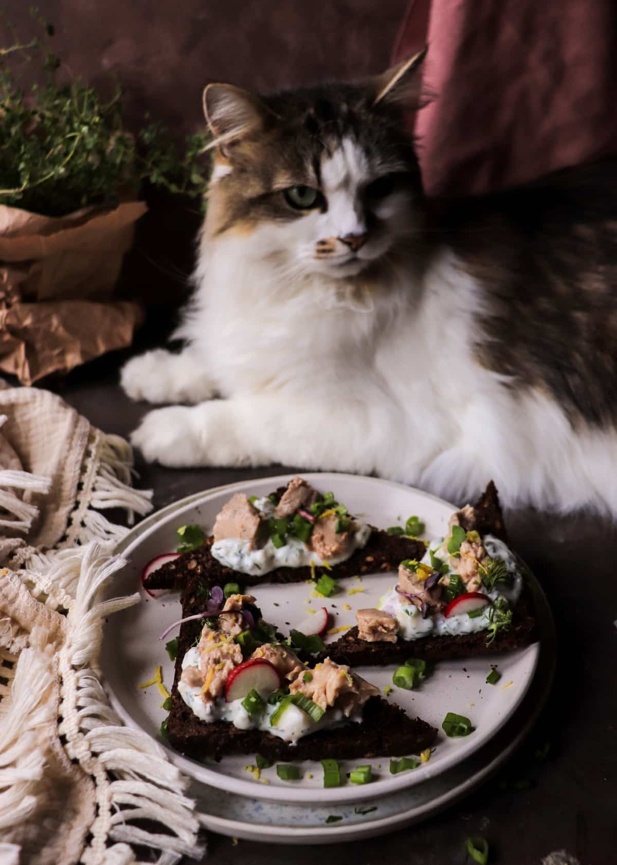 Scandinavian-inspired rye toast with smoked cod liver and fresh herbs
