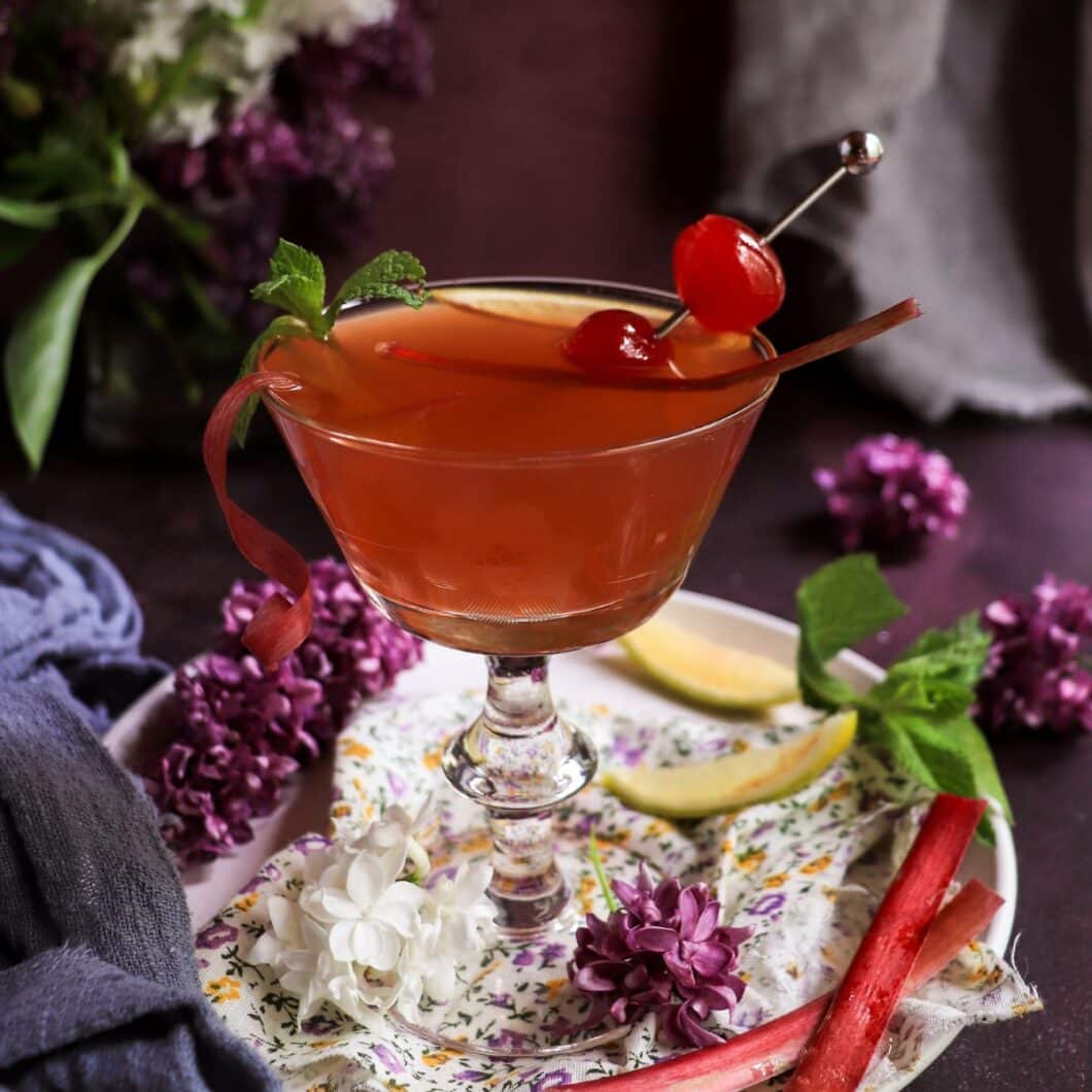 Cherry Rhubarb Gin Sour