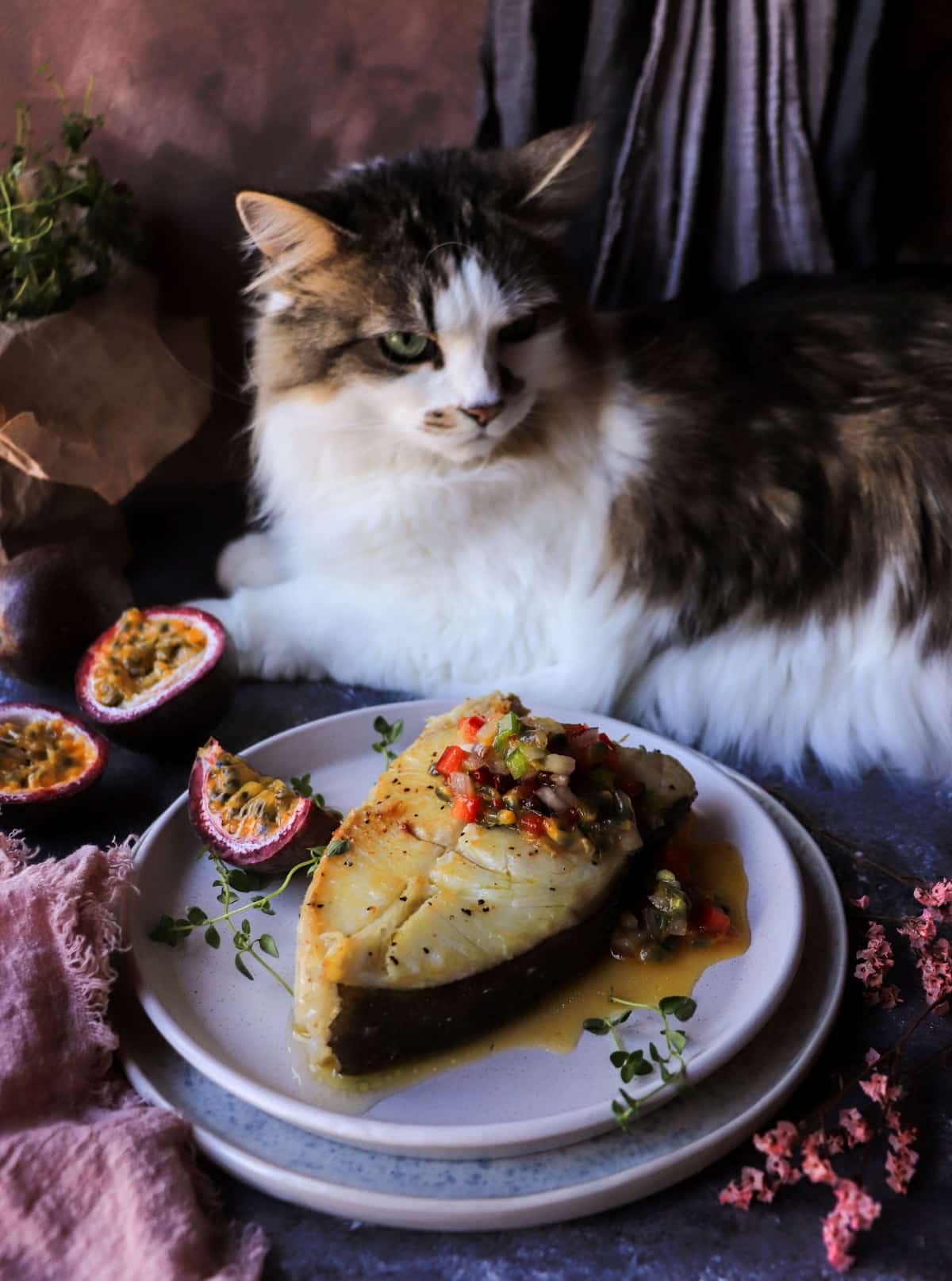 Daisy the cat posing beside one-pan halibut with passion fruit salsa.