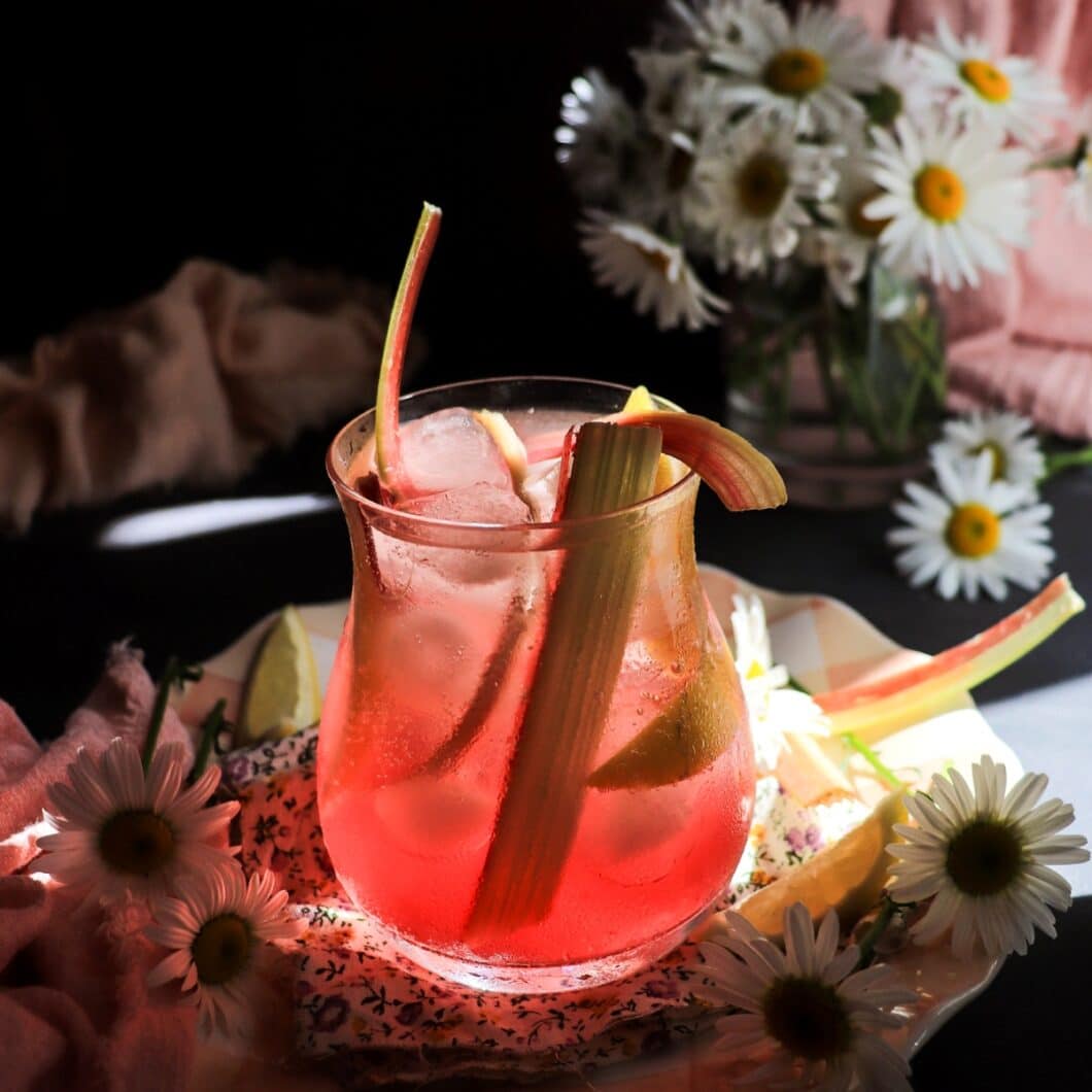 Rhubarb Citrus Fizz
