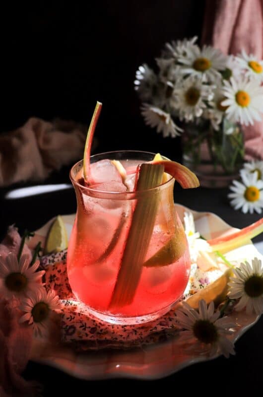 Rhubarb Citrus Fizz
