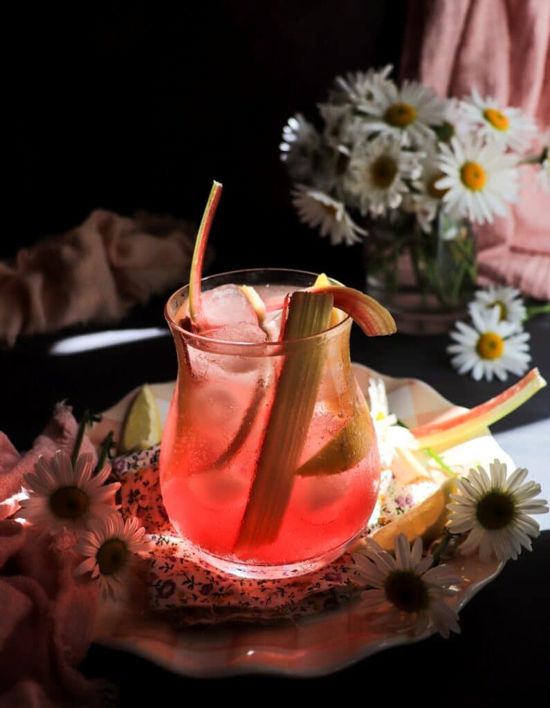 Rhubarb Citrus Fizz