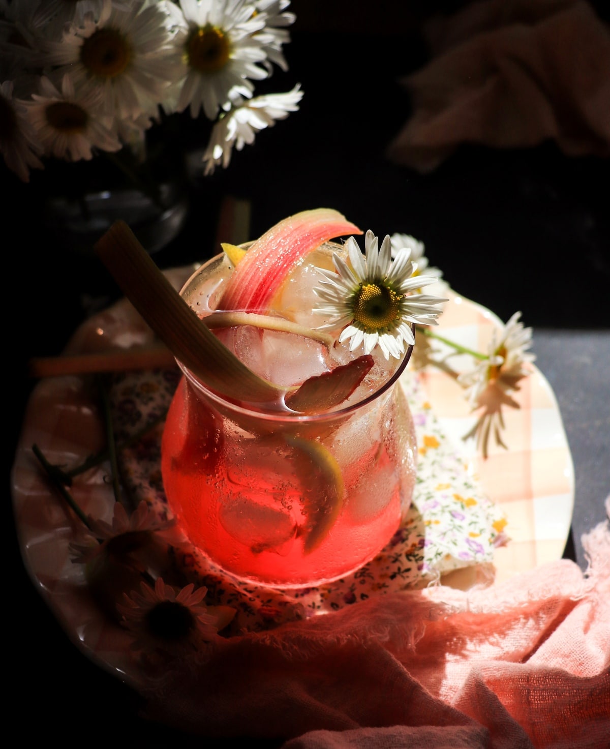non-alcoholic rhubarb soda fizz