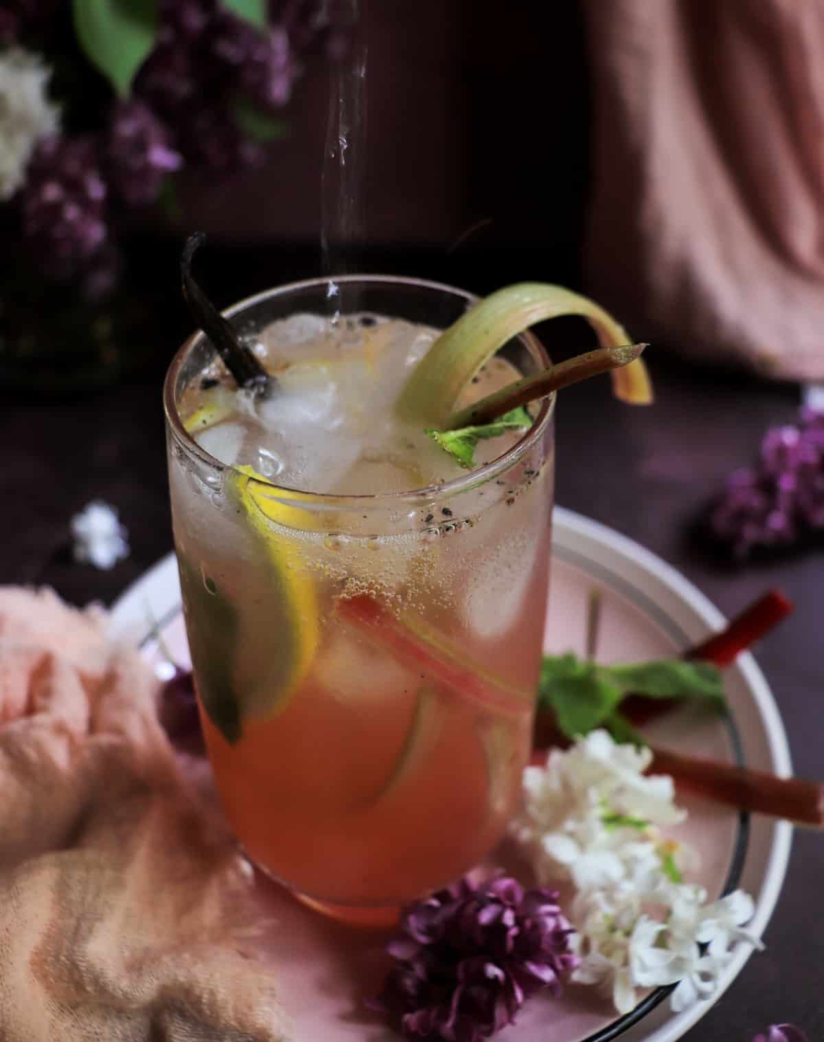 Rhubarb Gin Fizz with Vanilla and rhubarb syrup