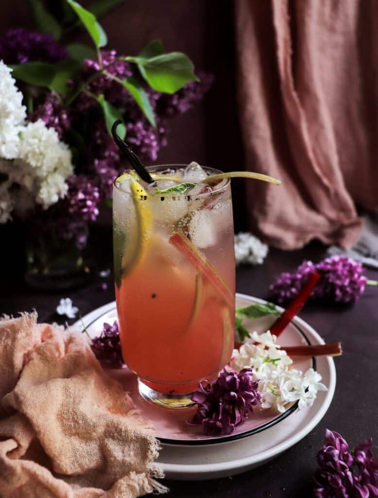 Rhubarb Gin Fizz with Vanilla