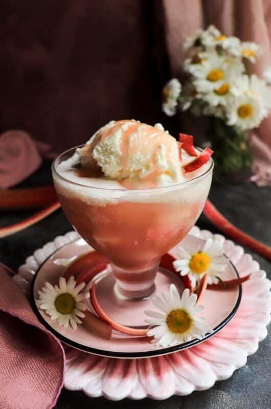 Rhubarb Ice Cream Float