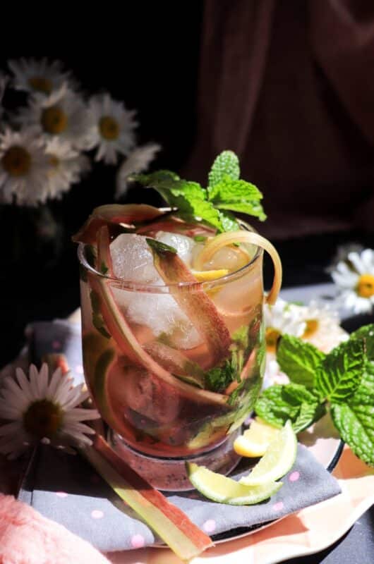 Rhubarb Mint Cooler