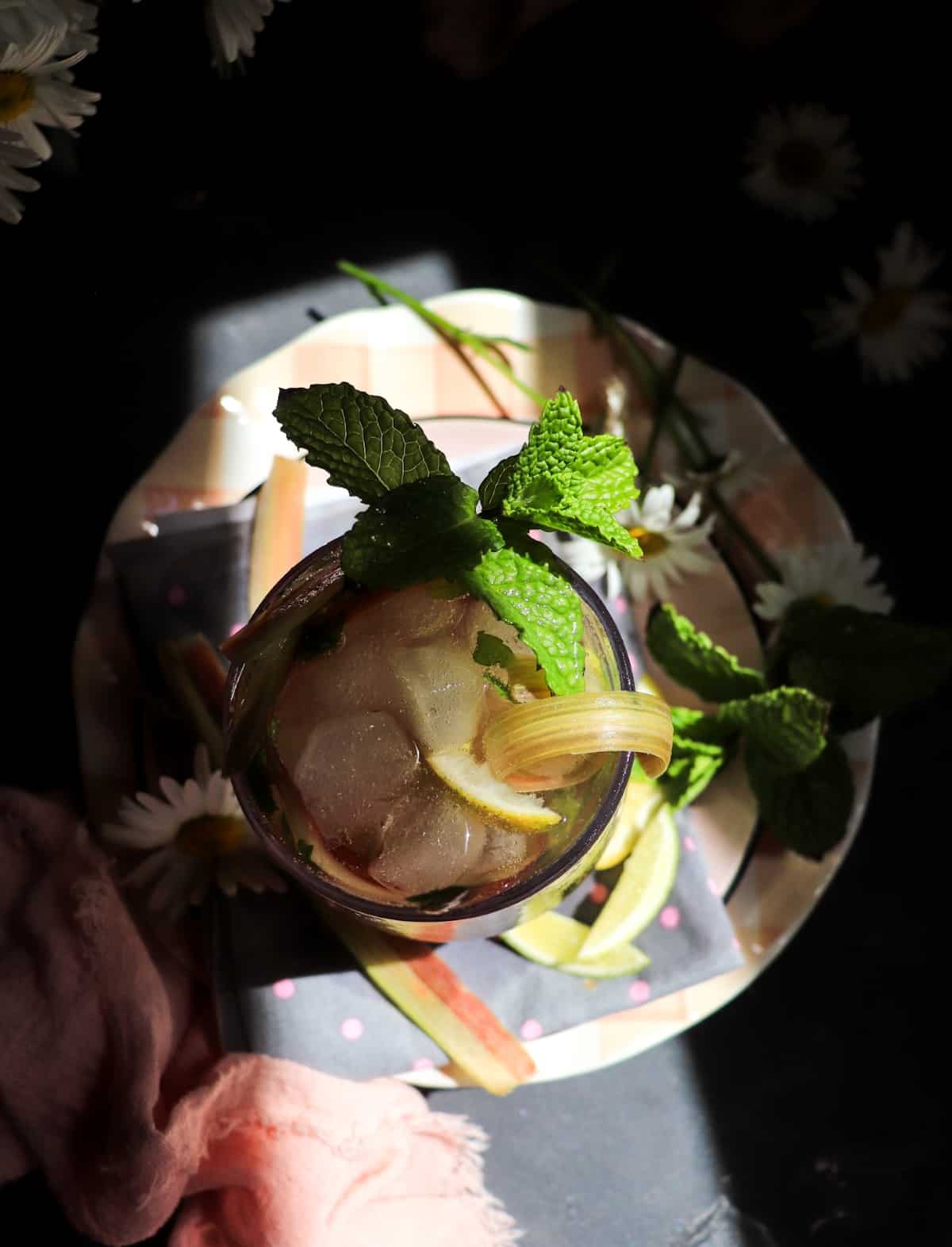 Sparkling rhubarb mint cooler served over ice with fresh mint and citrus