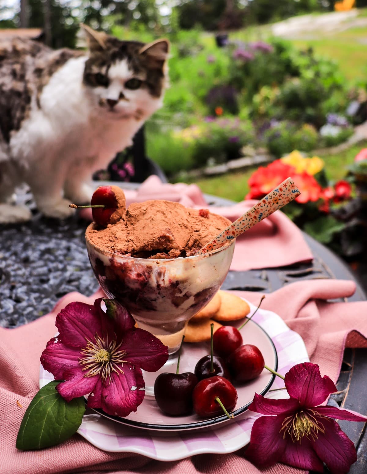 cherry amaretto tiramisu with cherry amaretto jam