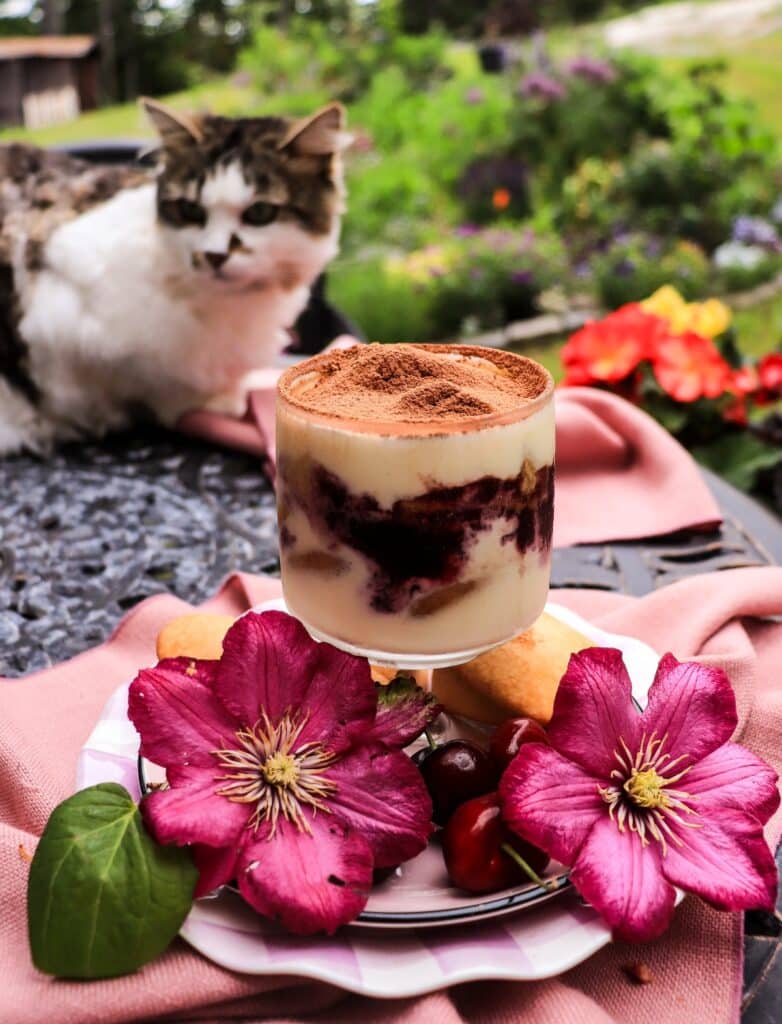 Cherry Amaretto Tiramisu (with Cherry Amaretto Jam)