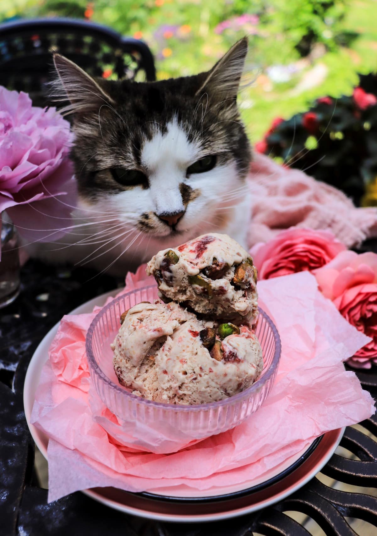 rose petal jam ice cream (No-churn, no custard)